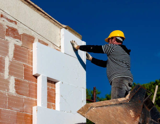 Best Eco-Friendly Insulation in Ayden, NC