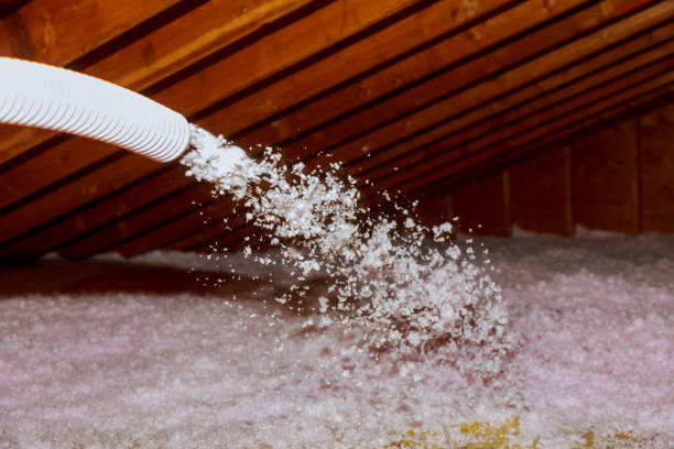Best Insulation for Specific Applications in Ayden, NC