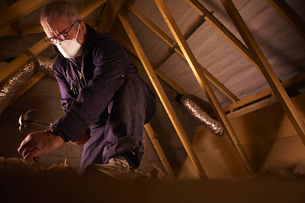 Best Specialized Insulation Services in Ayden, NC